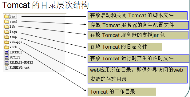 Tomcat1